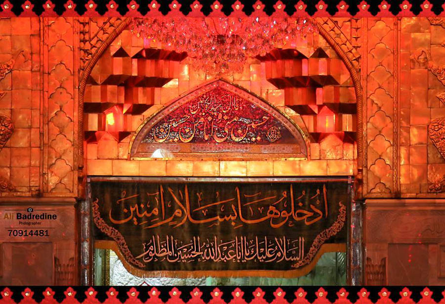 صور مميزة التقطت في زيارة الاربعين - (21-11-2016)